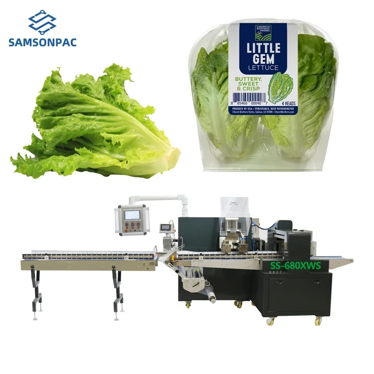 Automatic Packing Machine: What Vegetables Can Be Packed?