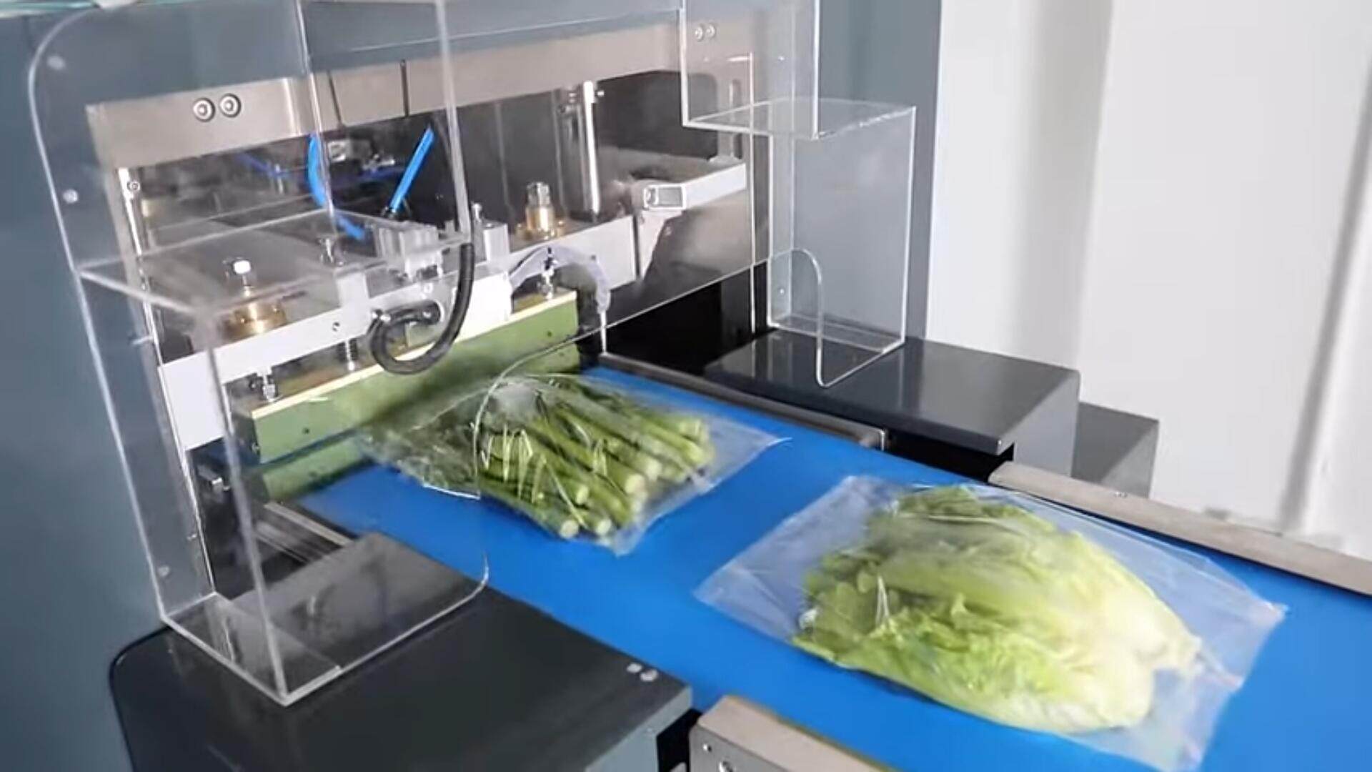 Key Features of a High-Quality Vegetable Packing Machine